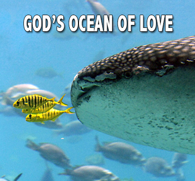 God's ocean of love - Positive Thinking Network - Positive Thinking Doctor - David J. Abbott M.D.