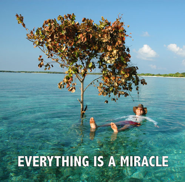 Everything Is A Miracle - David J. Abbott M.D.