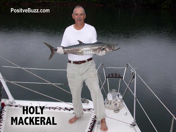 Positive Click Bait - Holy mackeral - teeth that are weapons of mass destruction